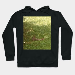 Cool rabbit relaxing on the lawn Hoodie